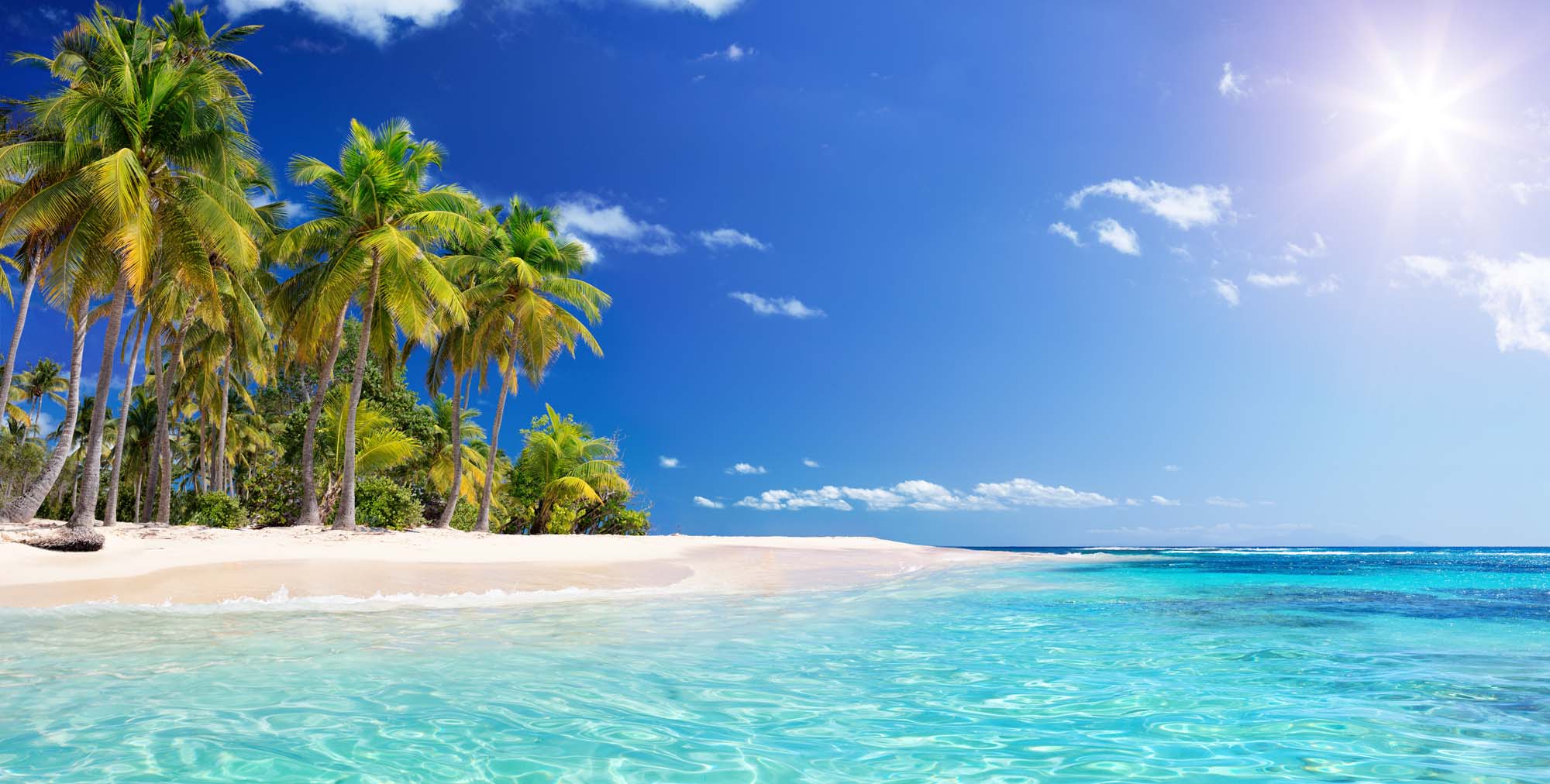 Tropical beach with palm trees, white sand, and turquoise water under blue sky