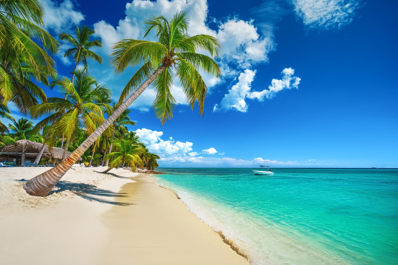 Palm and tropical beach in Punta Cana, Dominican Republic A pristine white sandy beach with leaning palm trees overlooking crystal-clear turquoise waters with a small boat in the distance. Fluffy white clouds dot the vibrant blue sky, creating a picture-perfect tropical scene.