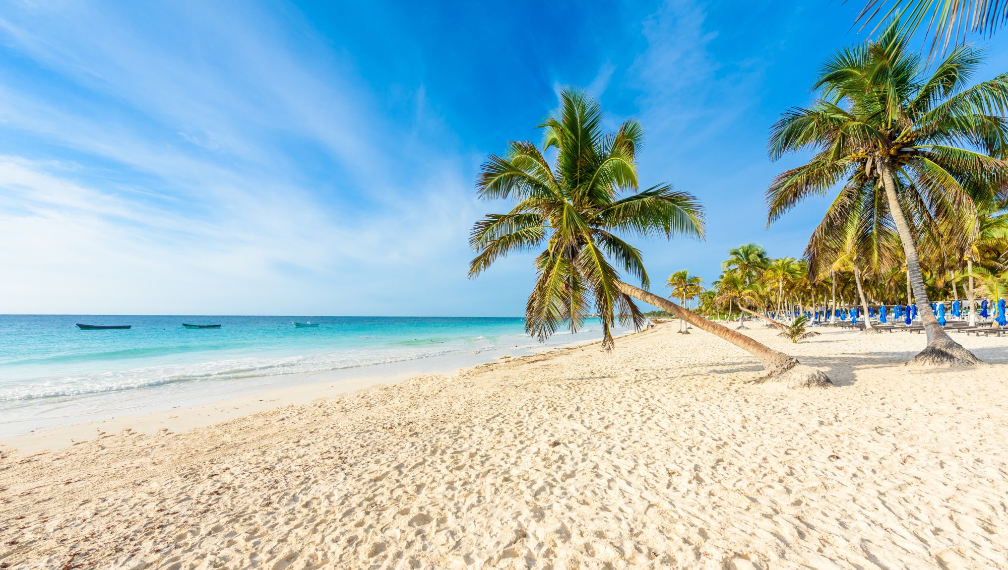 shutterstock_1325443922 Dramatic Pacific coastline of Puerto Vallarta with golden sunset reflecting on the water, showcasing the Mexican Riviera cruise experience