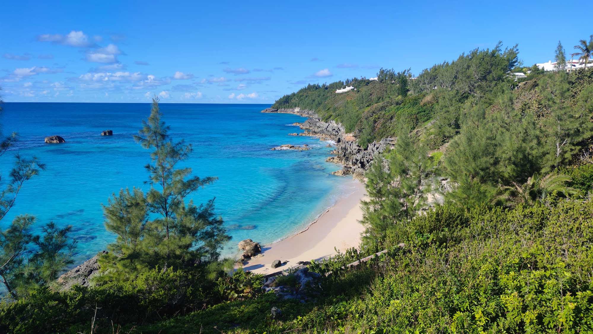 Bermuda Tropical Coastal Beach Cove A pristine tropical beach cove nestled between lush green cliffside vegetation and turquoise Atlantic waters, featuring pink-hued sand and rocky outcrops.