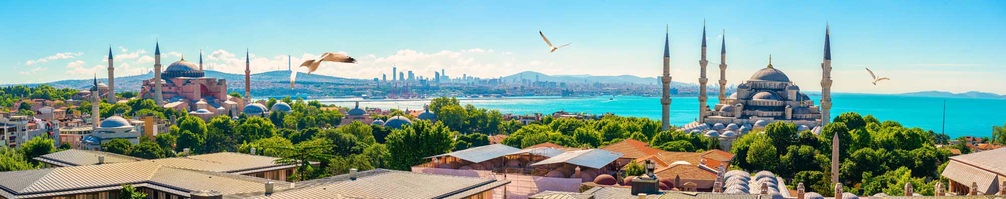 A sweeping panoramic view of Istanbul's historic skyline featuring the iconic Blue Mosque with its distinctive minarets and domes on the right, the Hagia Sophia on the left, and the Bosphorus strait with the Asian side visible across the water. The scene captures the city's rich architectural heritage against a clear blue sky with lush green vegetation in the foreground.