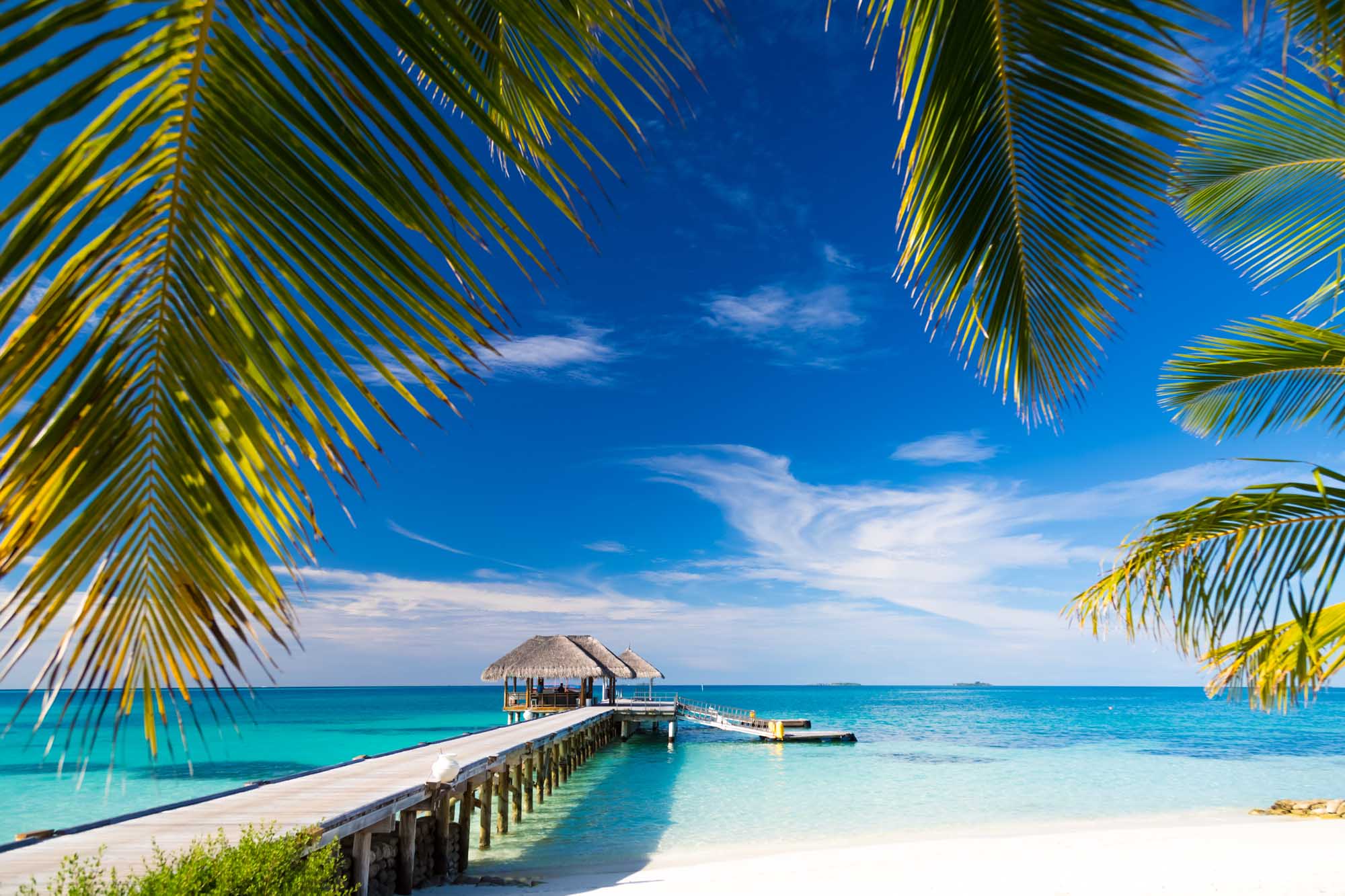 Maldives Tropical Resort with Overwater Bungalow A picturesque tropical beach scene featuring a wooden pier leading to an overwater bungalow with a thatched roof, surrounded by pristine turquoise waters and white sand beach. Palm fronds frame the composition against a brilliant blue sky with wispy clouds, capturing the essence of a luxury island resort destination.