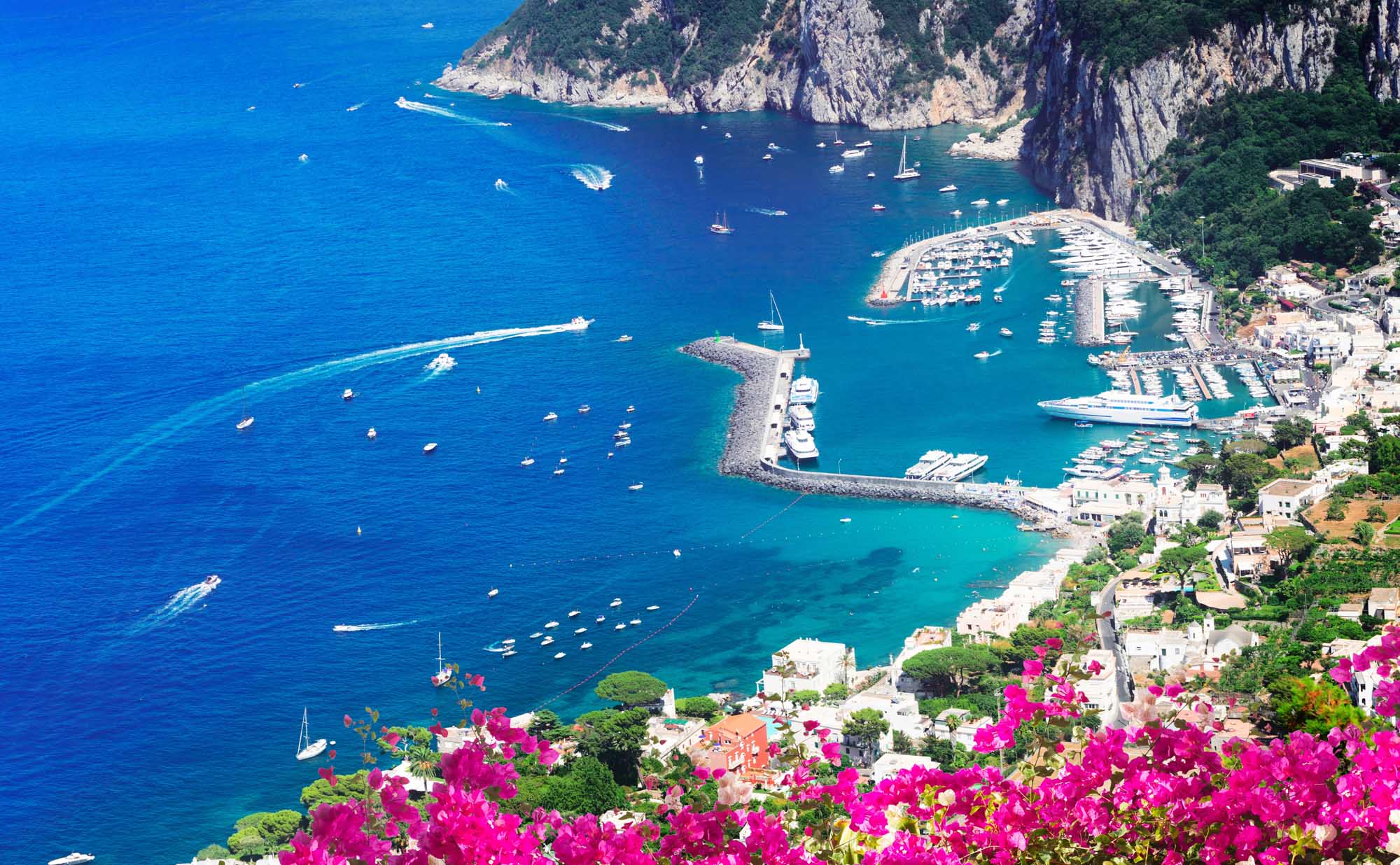 Marina Grande Harbour, Capri Island Aerial View An aerial view of Marina Grande, Capri's main port, showcasing crystal-clear turquoise waters filled with moored boats, a protective breakwater with berthed vessels, dramatic limestone cliffs, whitewashed buildings cascading down the hillside, and vibrant magenta bougainvillea flowers in the foreground.