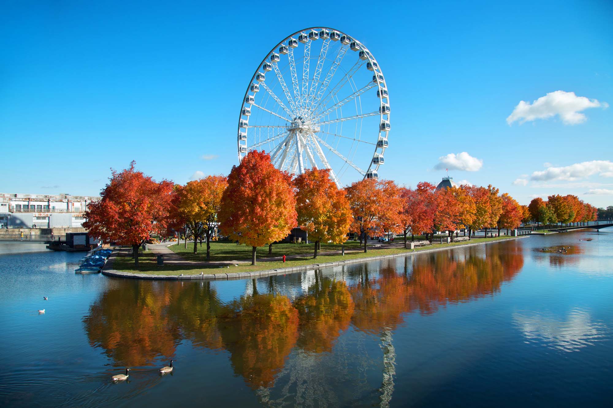 The iconic Montreal Great Wheel dominates the skyline above a scenic waterfront park ablaze with vibrant fall foliage in shades of red, orange, and gold.