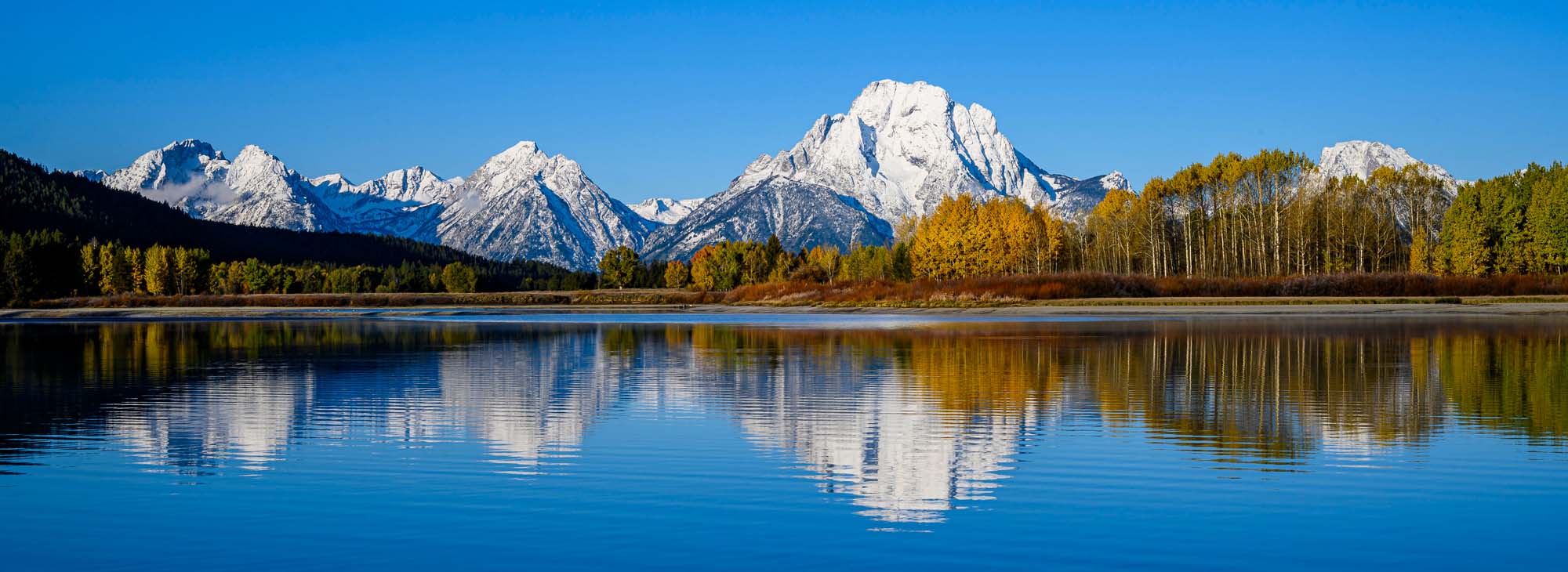 A stunning panoramic view of Oxbow Bend in Grand Teton National Park, featuring snow-capped mountain peaks reflected in the pristine calm waters of the Snake River, with golden autumn aspen trees and evergreen forests lining the shoreline under a clear blue sky.
