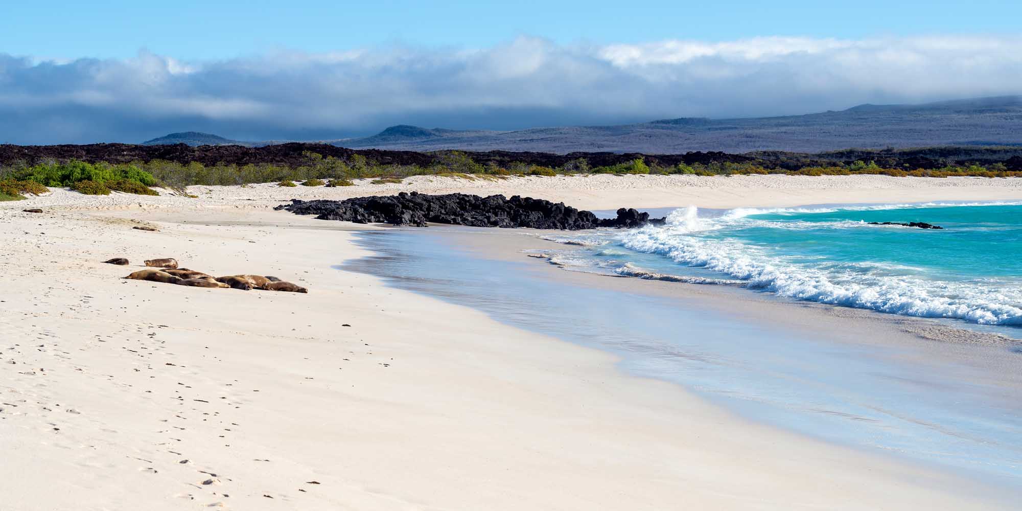 A pristine white sand beach on San Cristóbal Island features resting Galápagos sea lions on the shore, with turquoise waters, rolling waves, and volcanic terrain visible in the background under a partly cloudy sky.
