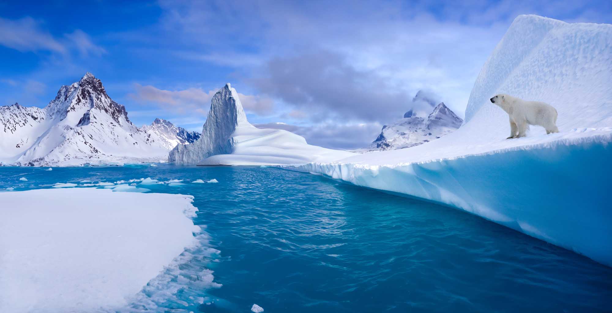 A majestic polar bear stands on a massive iceberg in the Arctic waters of eastern Greenland, surrounded by snow-capped mountains, glacial ice formations, and deep blue fjord waters. The dramatic landscape showcases the raw beauty and extreme environment of the Arctic region.