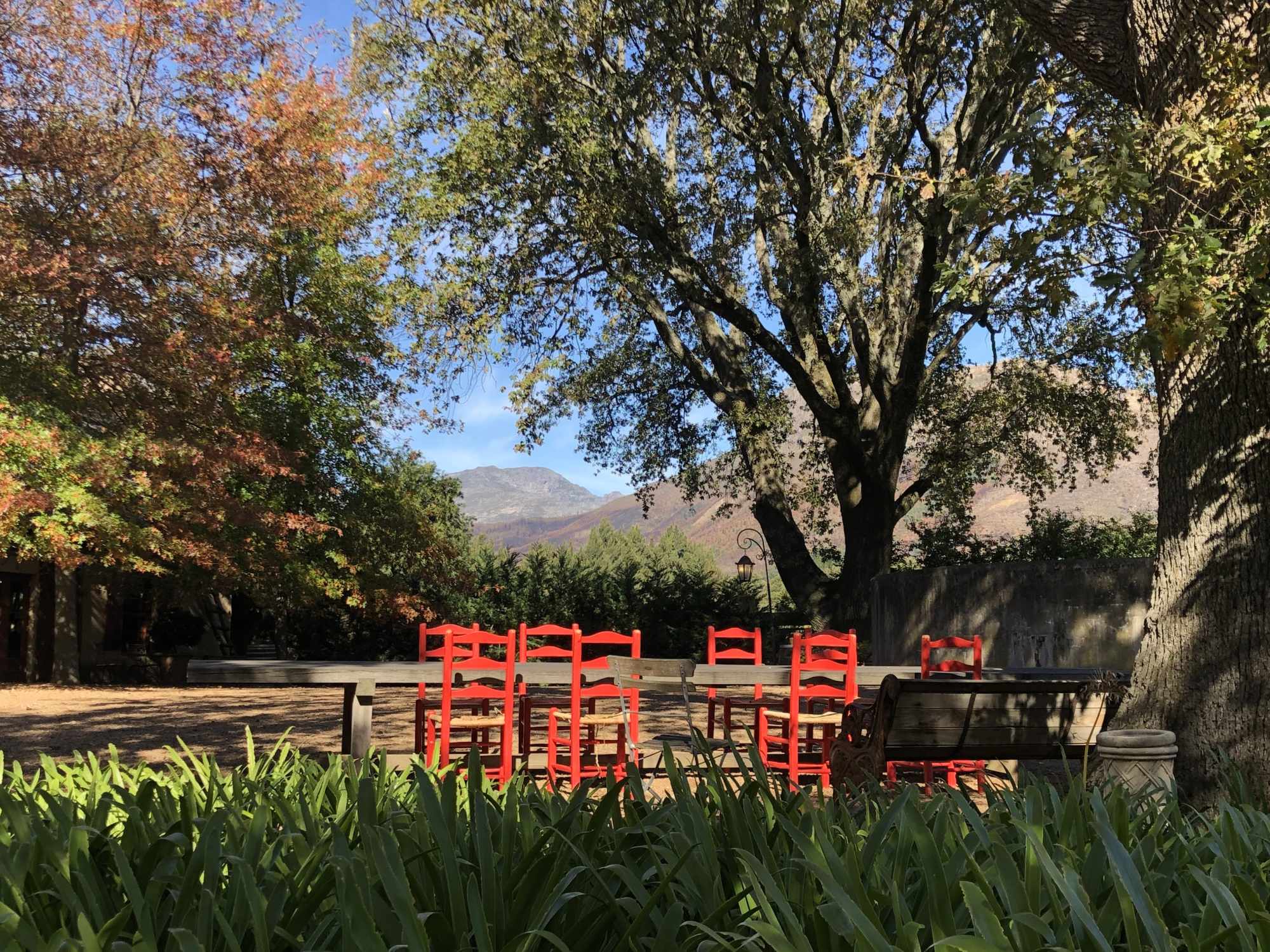 Red Chairs in Mountain Valley Garden A charming outdoor courtyard or garden space featuring bright red traditional-style chairs arranged