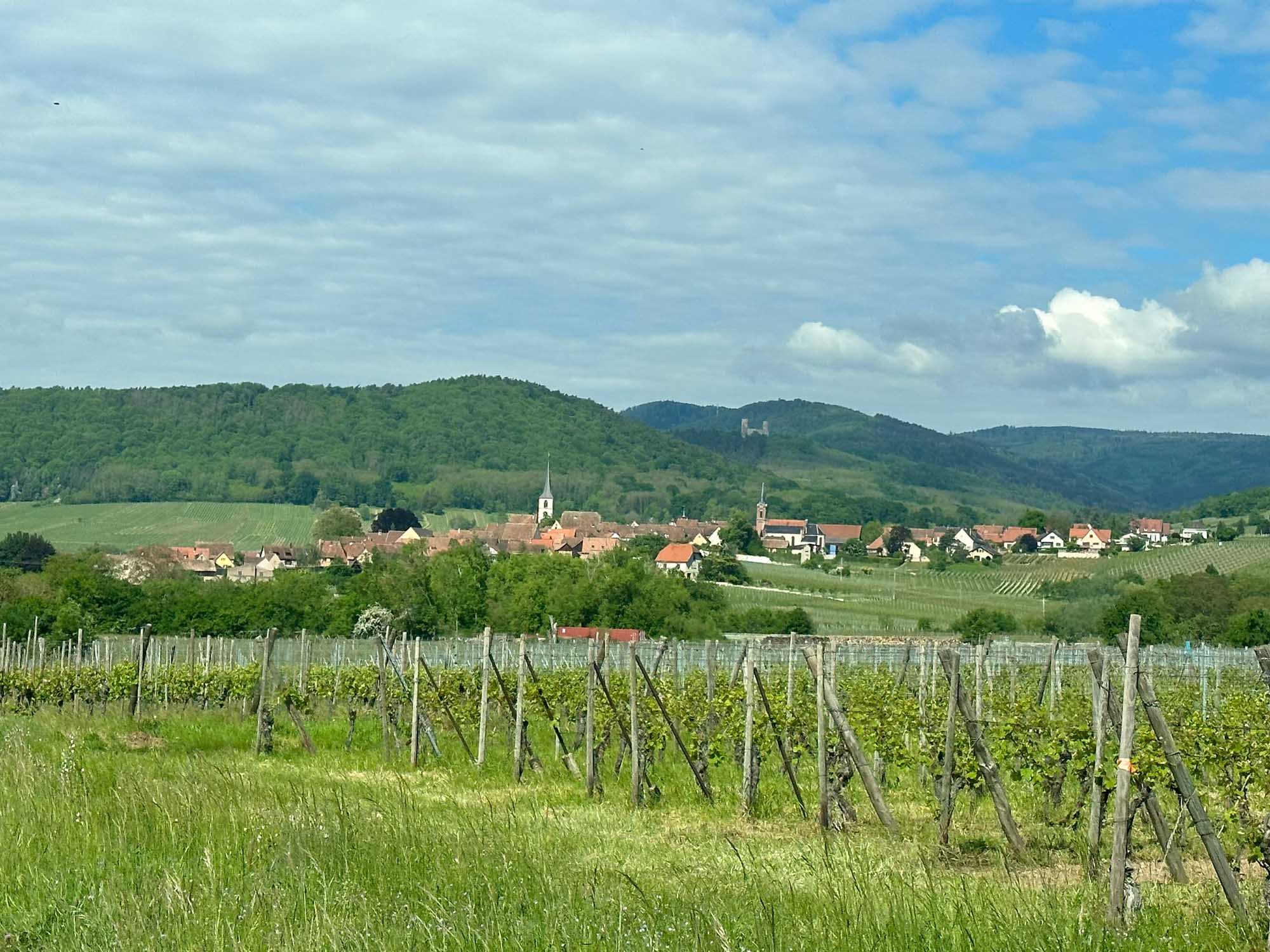 A scenic view of a traditional German wine village nestled in a verdant valley, with distinctive church spires rising above terracotta-roofed houses, surrounded by terraced vineyards on rolling hills under a partly cloudy sky. The landscape exemplifies the picturesque Rhine Valley region, a UNESCO World Heritage site renowned for its wine production and medieval architecture.