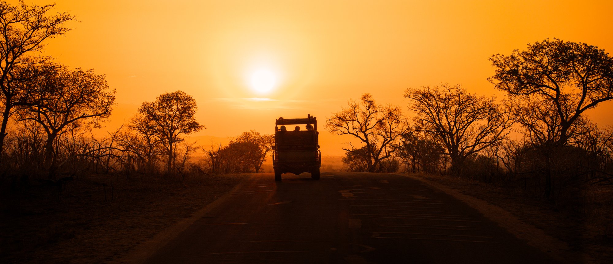 Safari Vehicle on African Savanna at Sunrise A silhouetted safari truck travels along a dusty road through an expansive African savanna