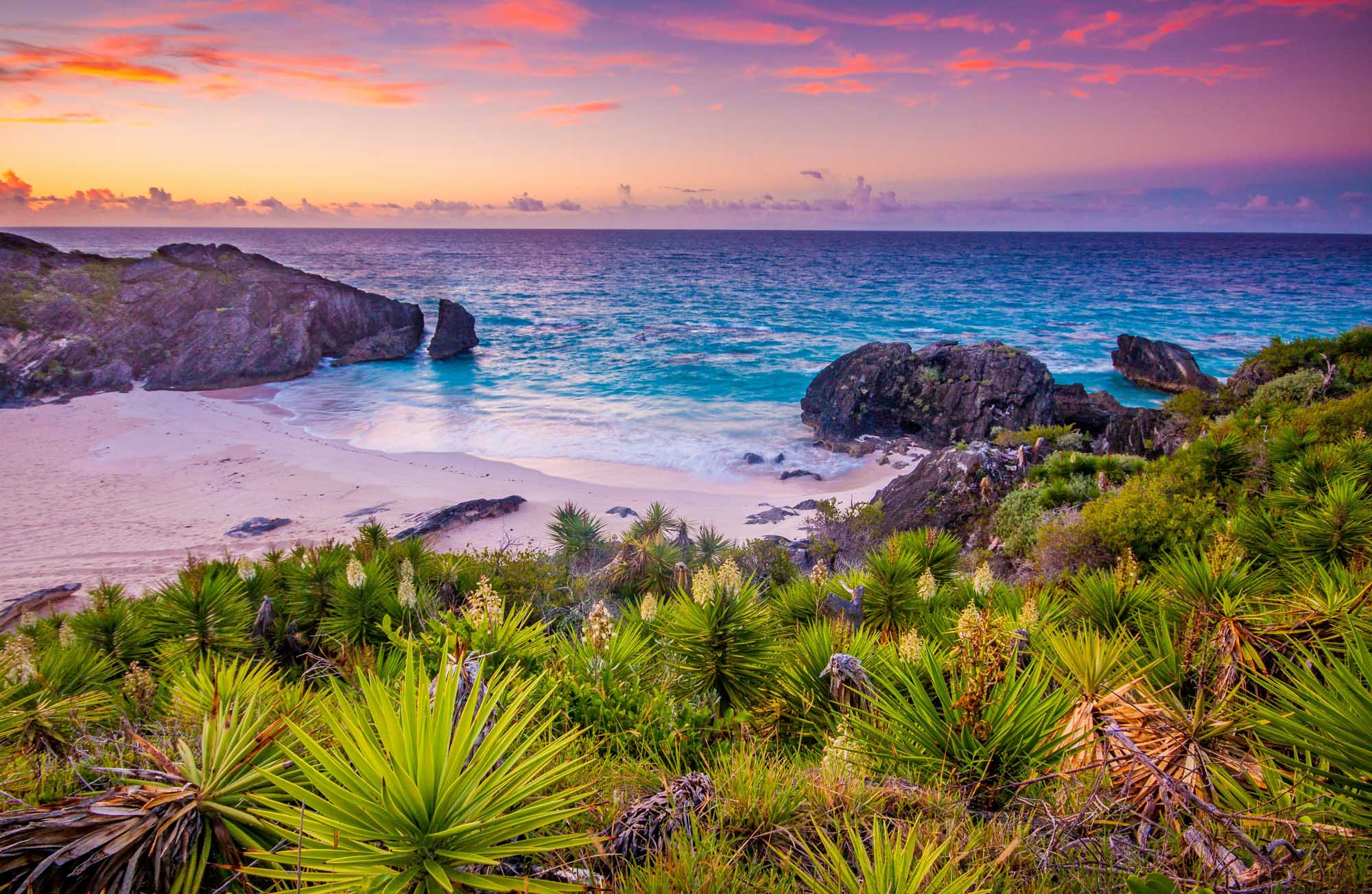Tropical Beach Cove at Sunrise A stunning coastal scene featuring a pristine pink sand beach nestled between dramatic rocky outcrops, with vibrant tropical vegetation and a breathtaking sunrise painting the sky.