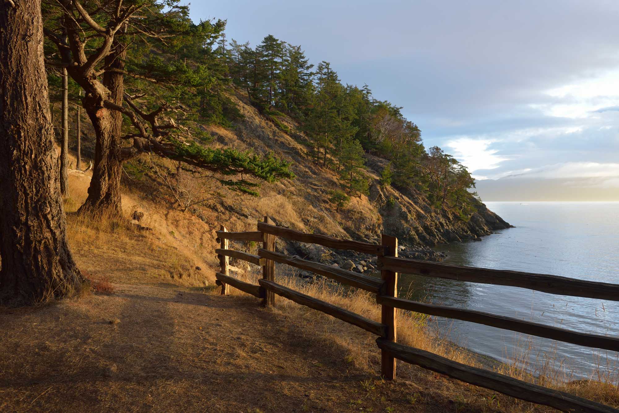 A rustic wooden fence overlooks a dramatic rocky coastline with coniferous forests clinging to steep cliffs above calm waters. The scene captures the rugged natural beauty of the San Juan Islands with warm golden light illuminating the landscape.