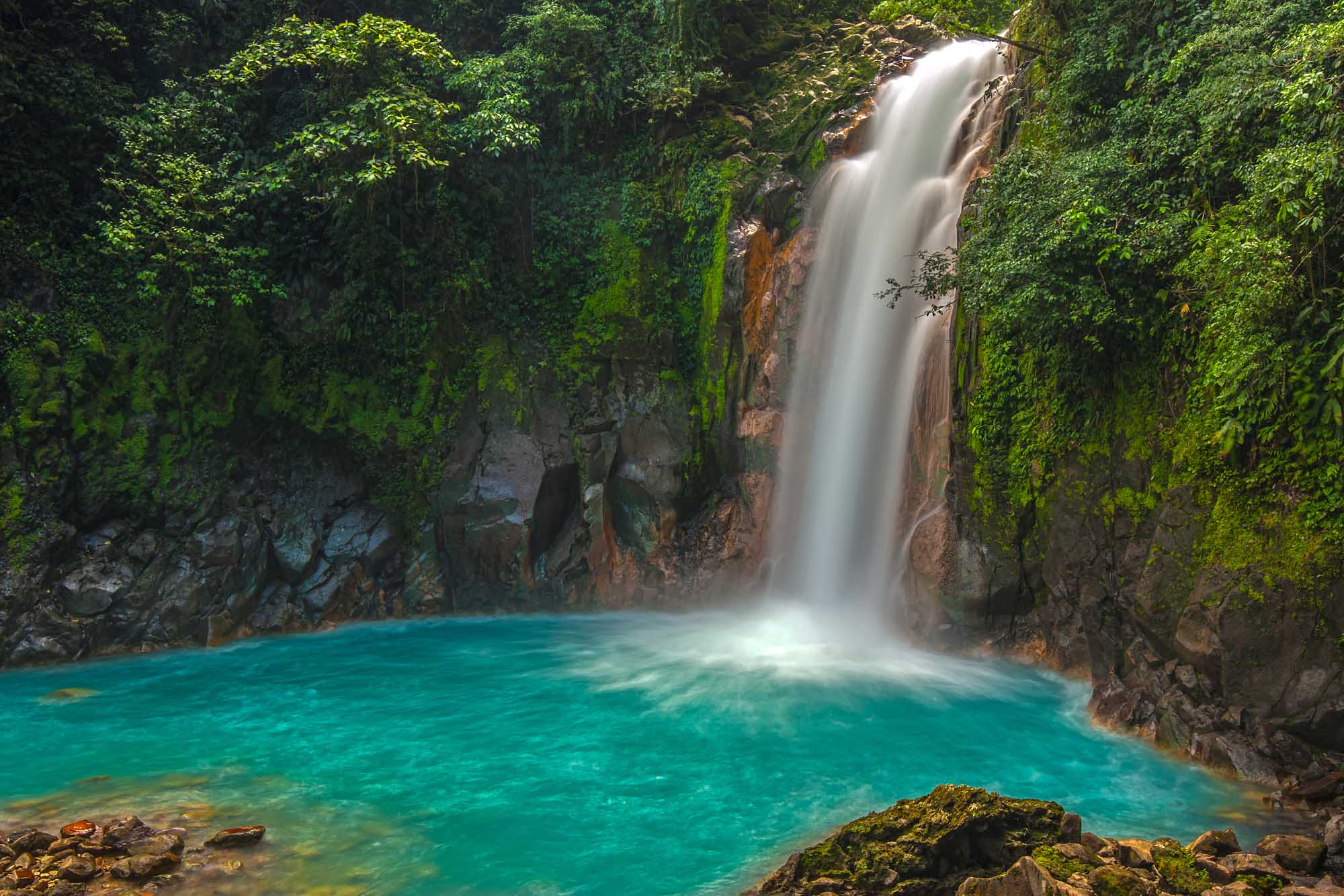 A stunning waterfall cascades into a pristine turquoise pool surrounded by moss-covered rock cliffs and dense green vegetation in a secluded tropical gorge.
