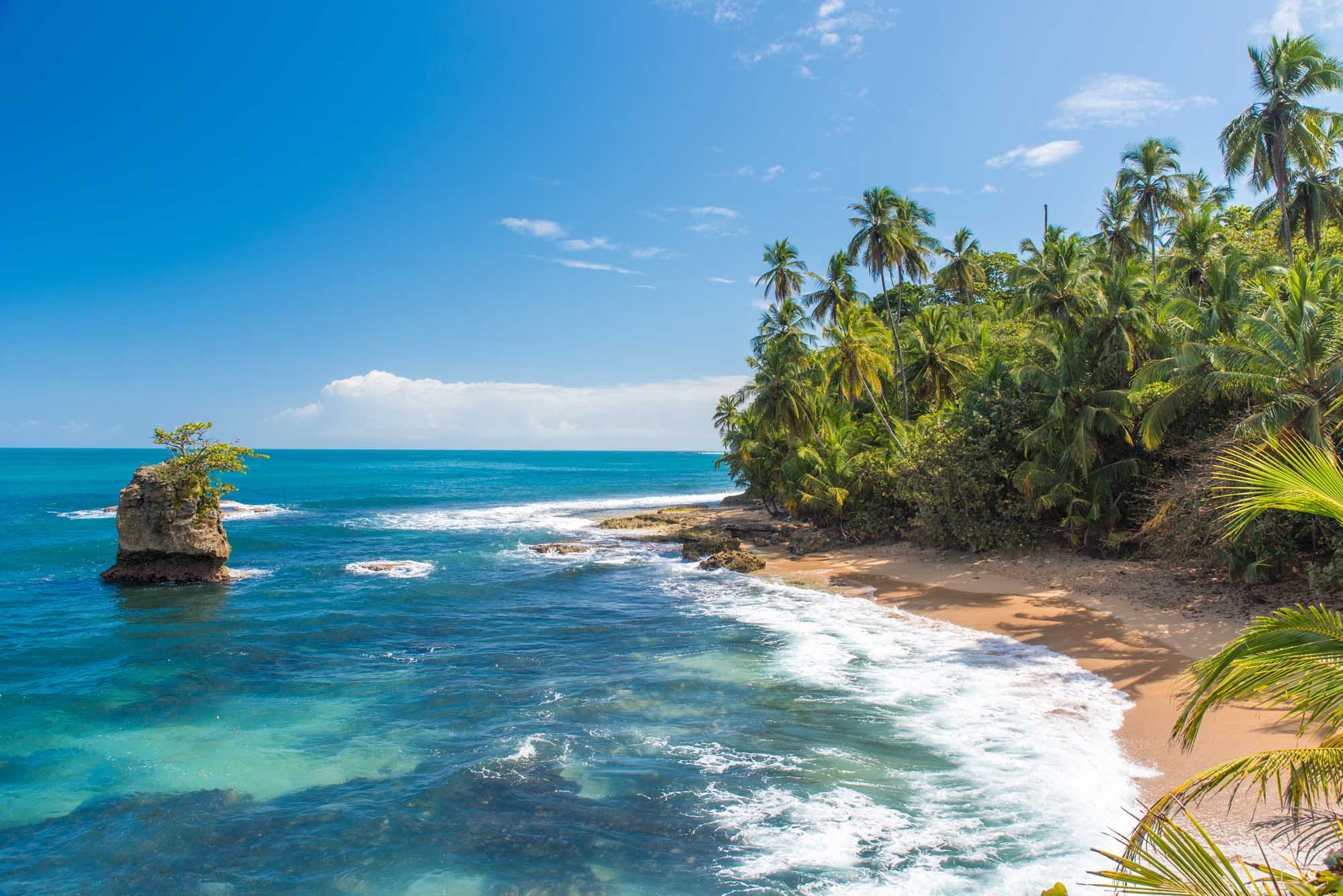 A pristine tropical beach cove featuring turquoise waters, white-sand shores, and lush palm tree vegetation with a distinctive rock formation rising from the ocean.