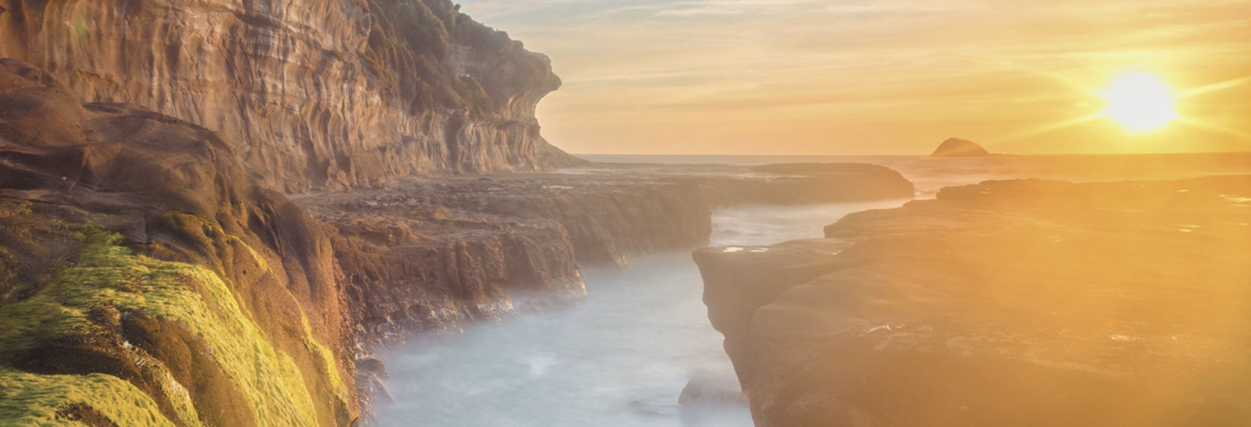 Regent Seven Seas, New Zealand Cruise