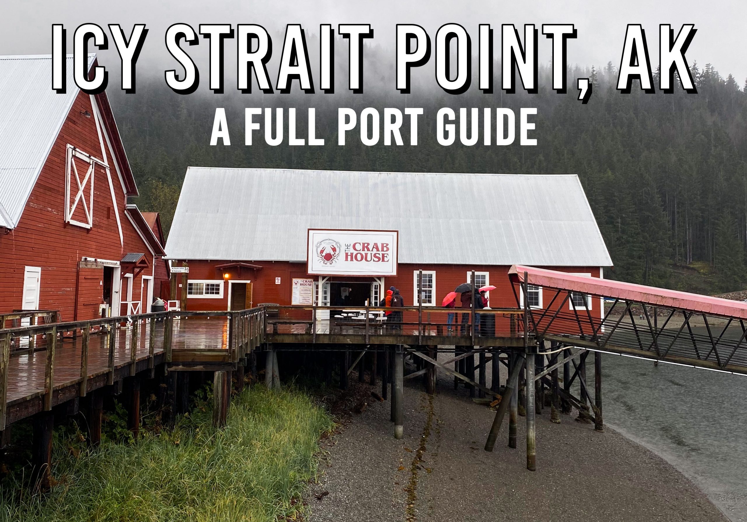 Alaska Cruise - Icy Strait Point Port Guide