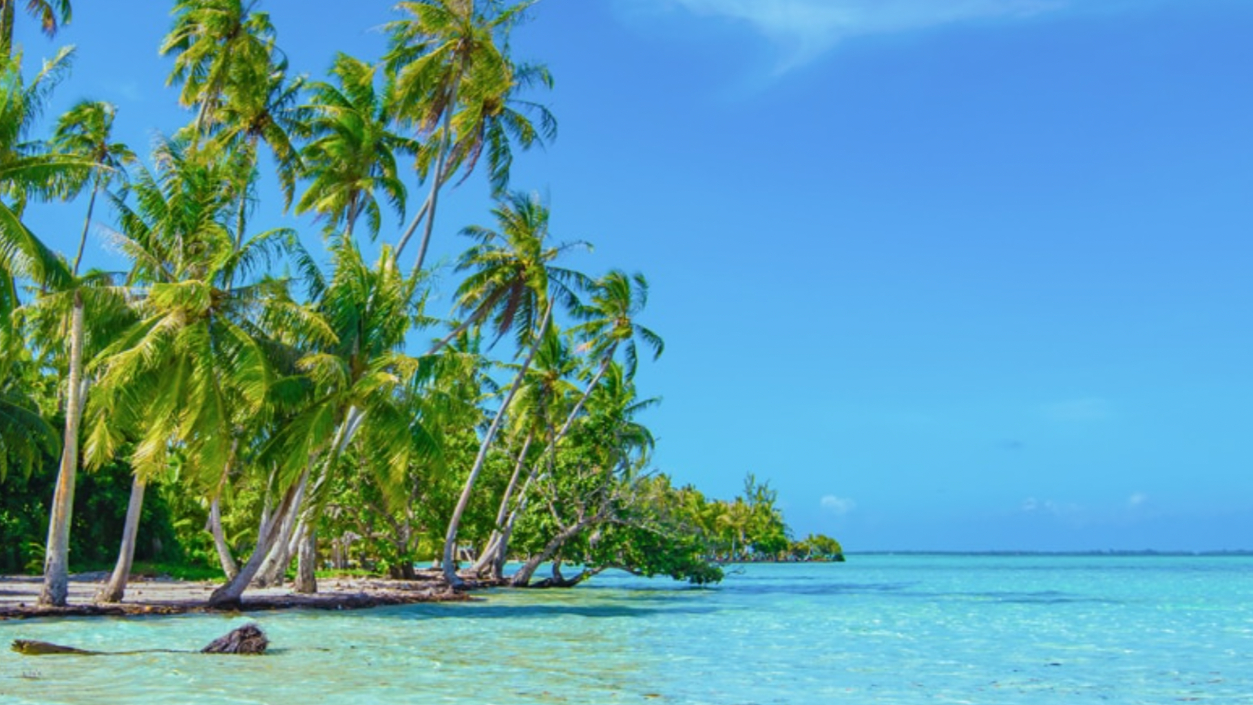 Regent Seven Seas, Seven Seas Splendor, 2028 World Cruise