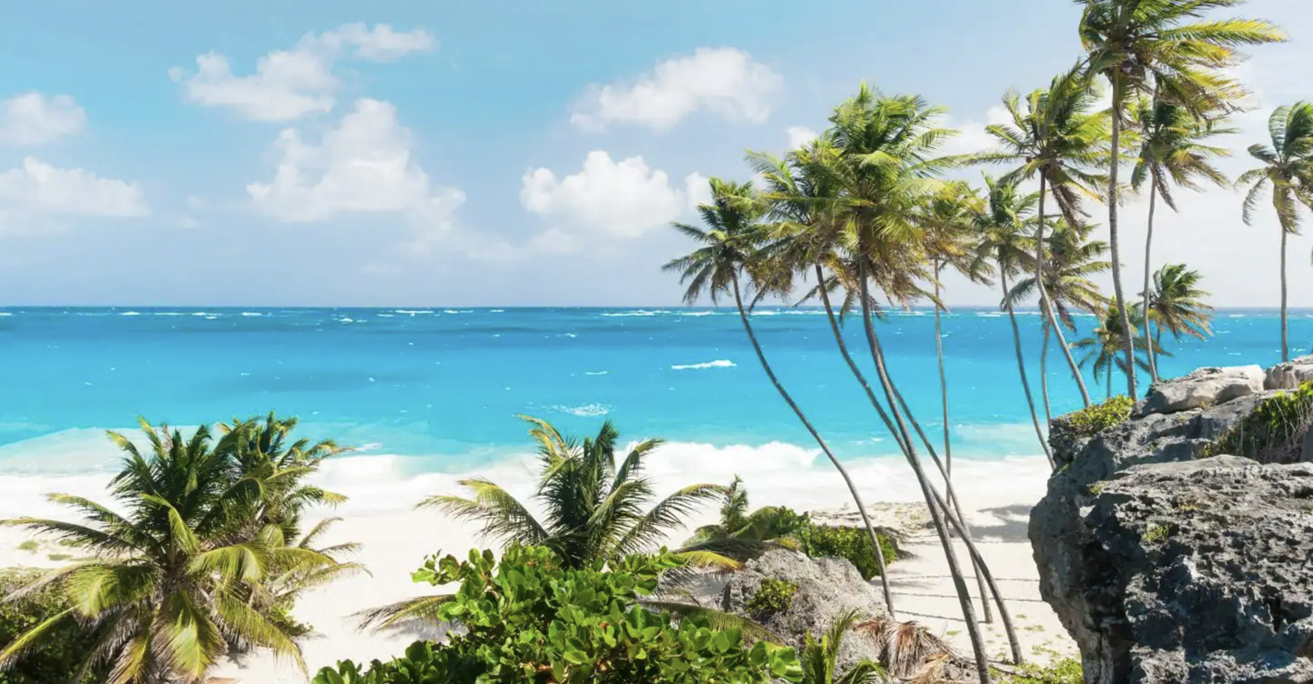 Holland America Line, Caribbean Cruise