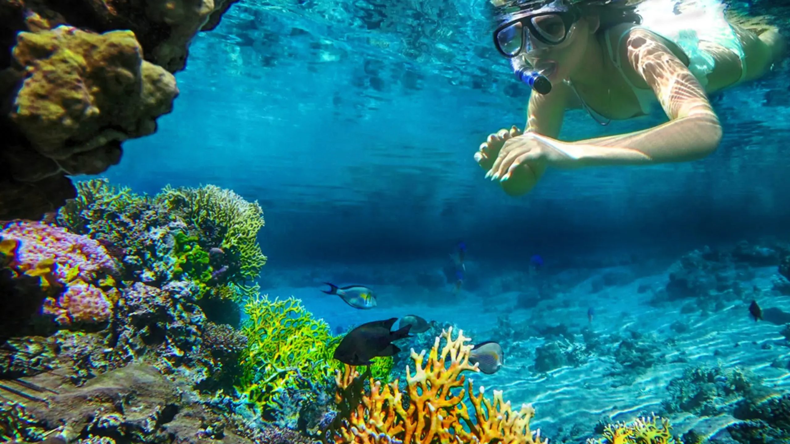 Crystal Cruises, Caribbean Cruise