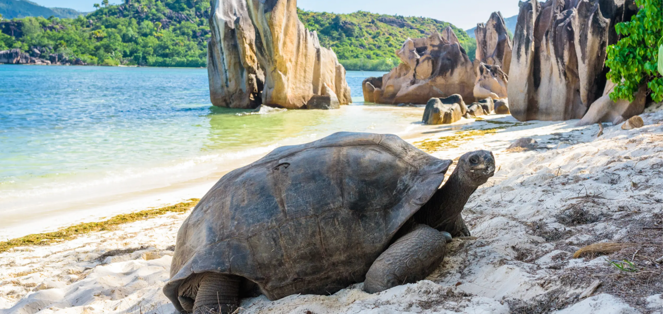 Silversea Cruises, Seychelles, World Cruise