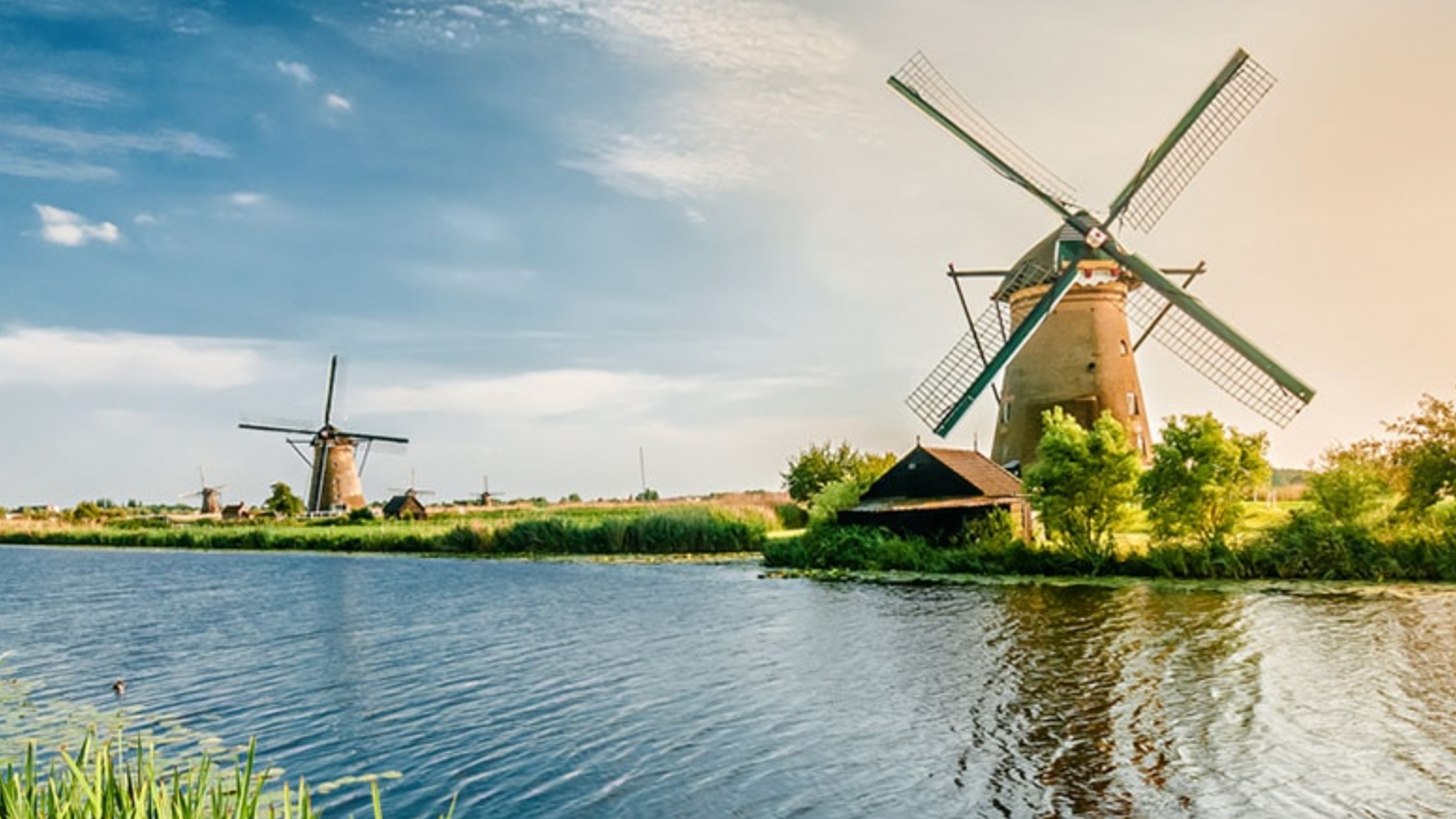 Immerse Yourself in Local Culture with Regent Seven Seas' Go Local Tours