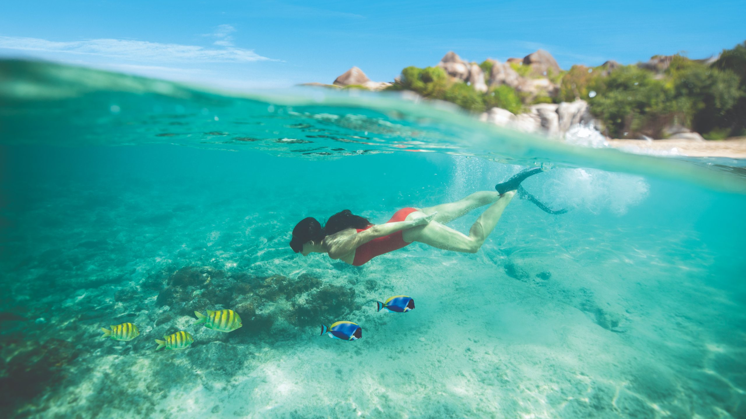 NCL, Norwegian Cruise Line, the Caribbean