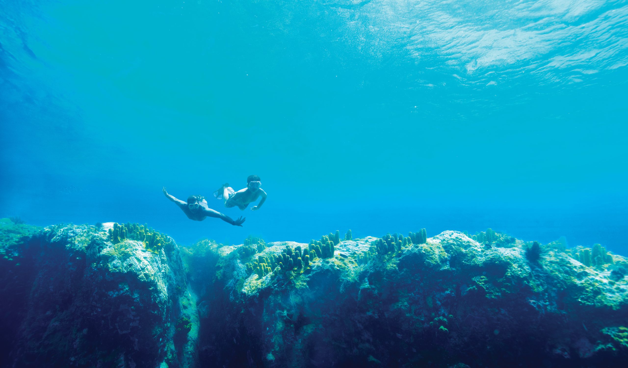 Royal Caribbean, Dominica