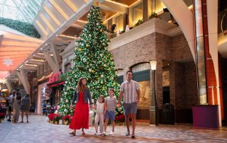 Black Friday Cruise Deals You Don't Want to Miss!