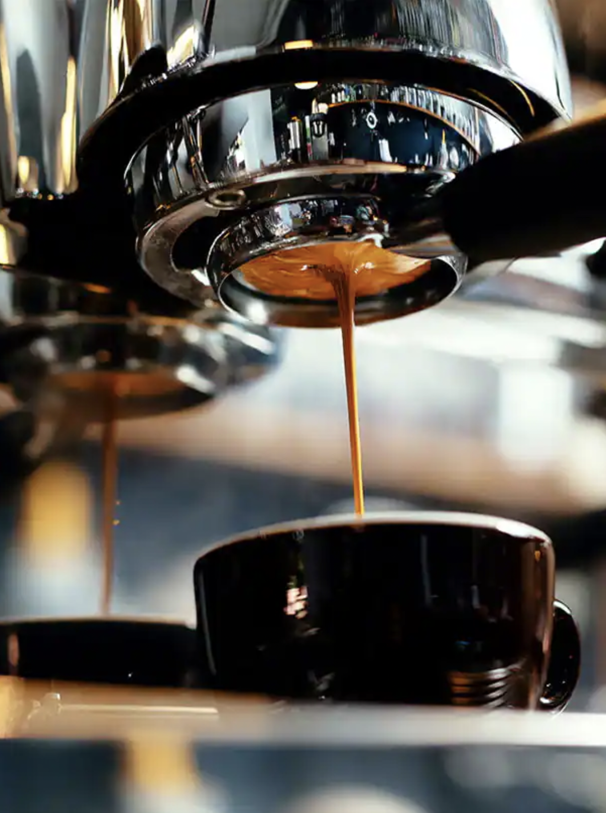 Seabourn Cruise Line, Dining Guide, Seabourn Square, Coffee Bar