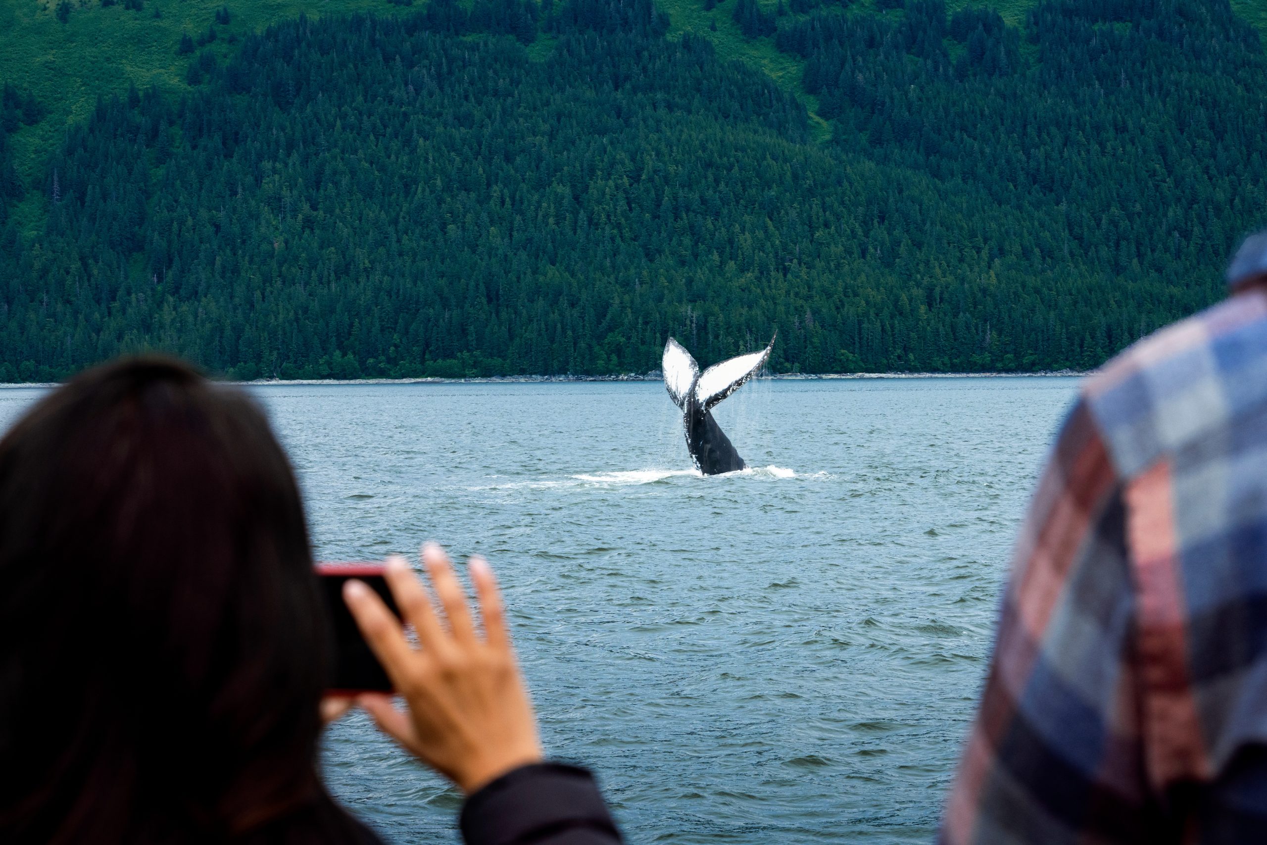 Royal Caribbean, Alaska Cruise, Quantum Class