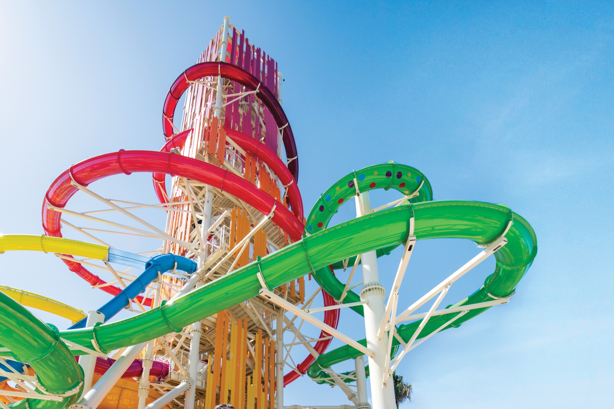 Royal Caribbean, Thrill Waterpark, Daredevils Tower, Green Mamba