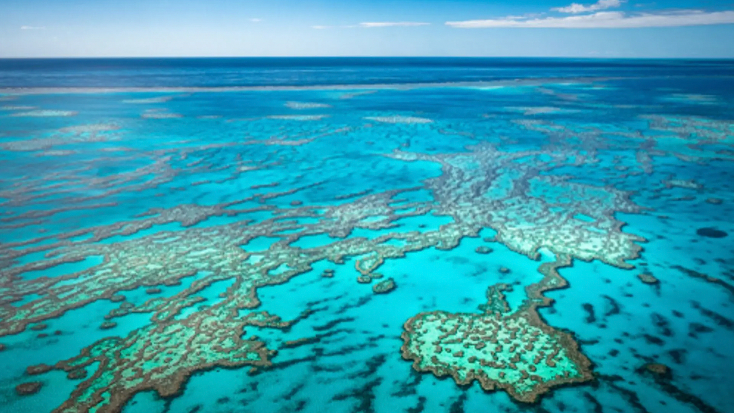 Crystal Cruises, New Zealand & Australia