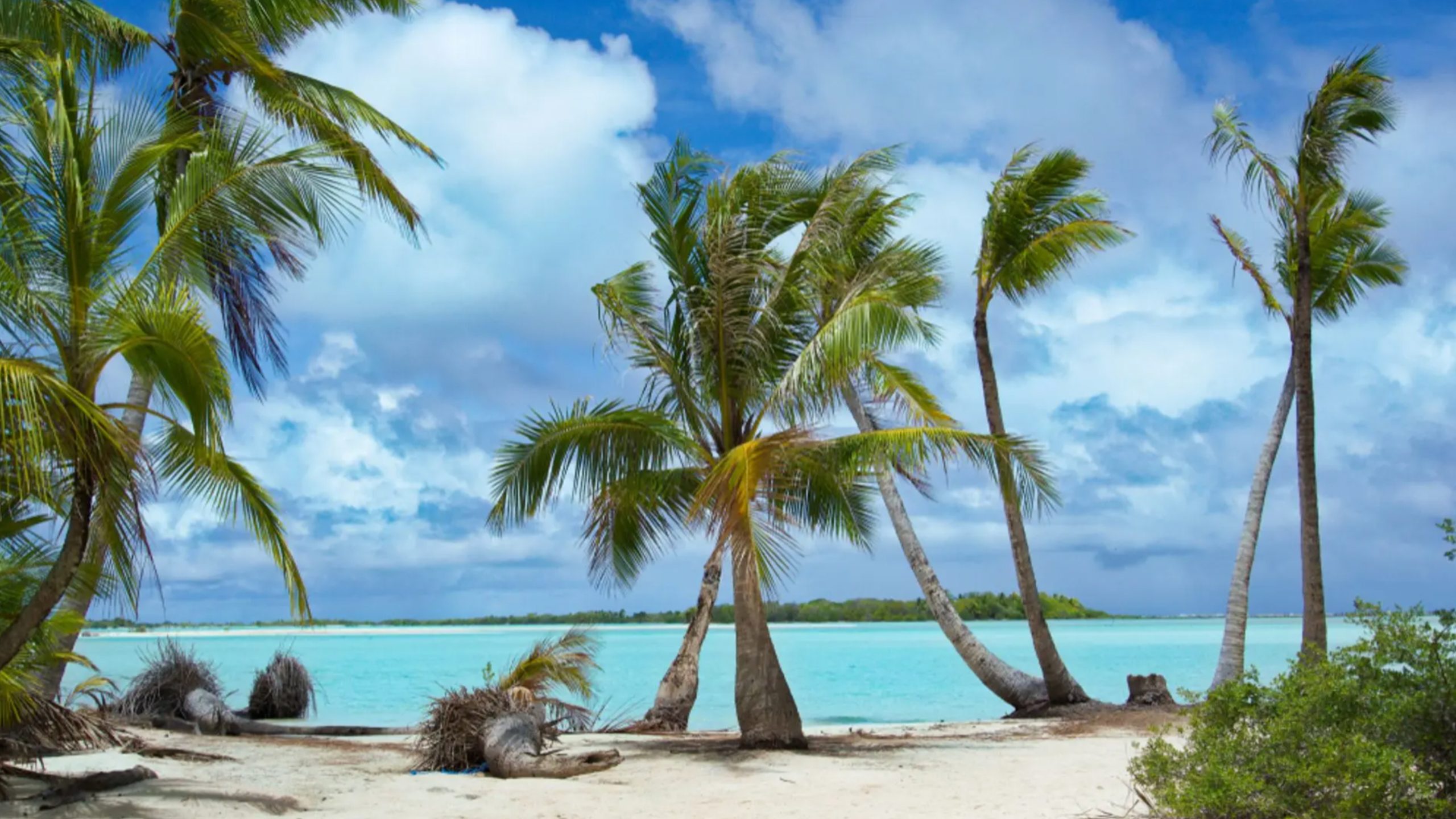 Crystal Cruises, South Pacific Cruise