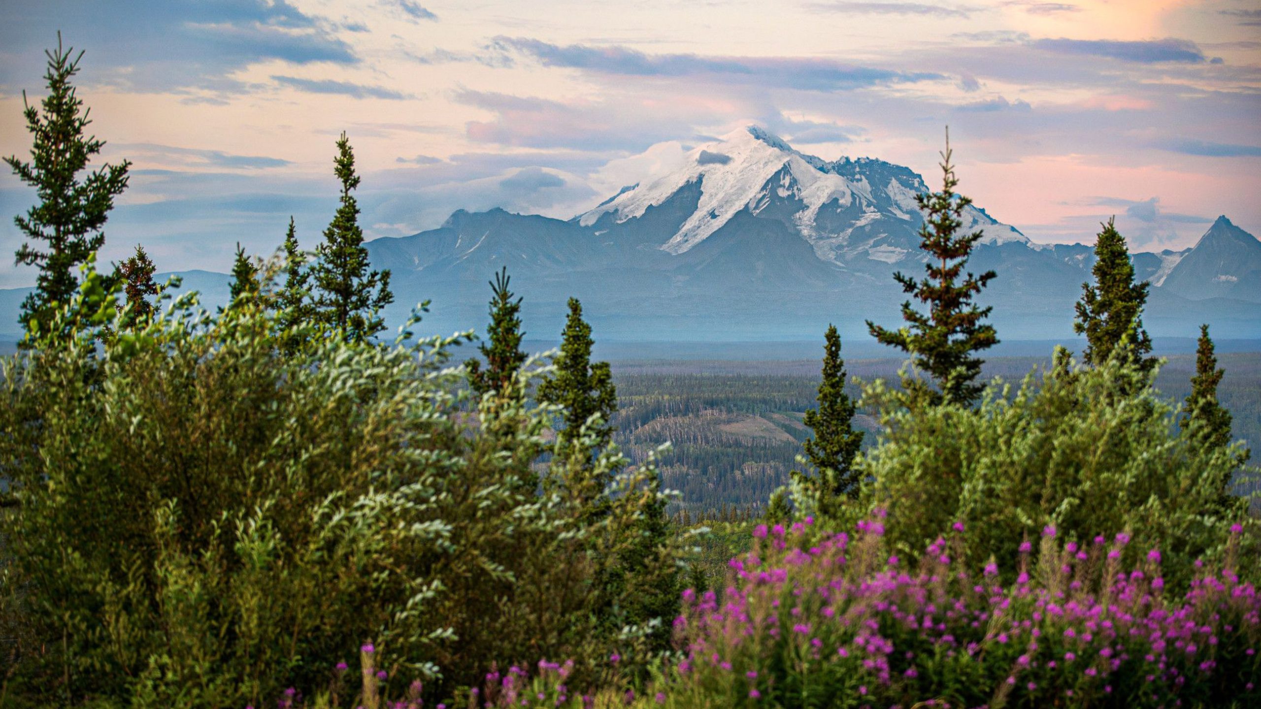 Princess Cruises, Coral Princess, Alaska, World Cruise
