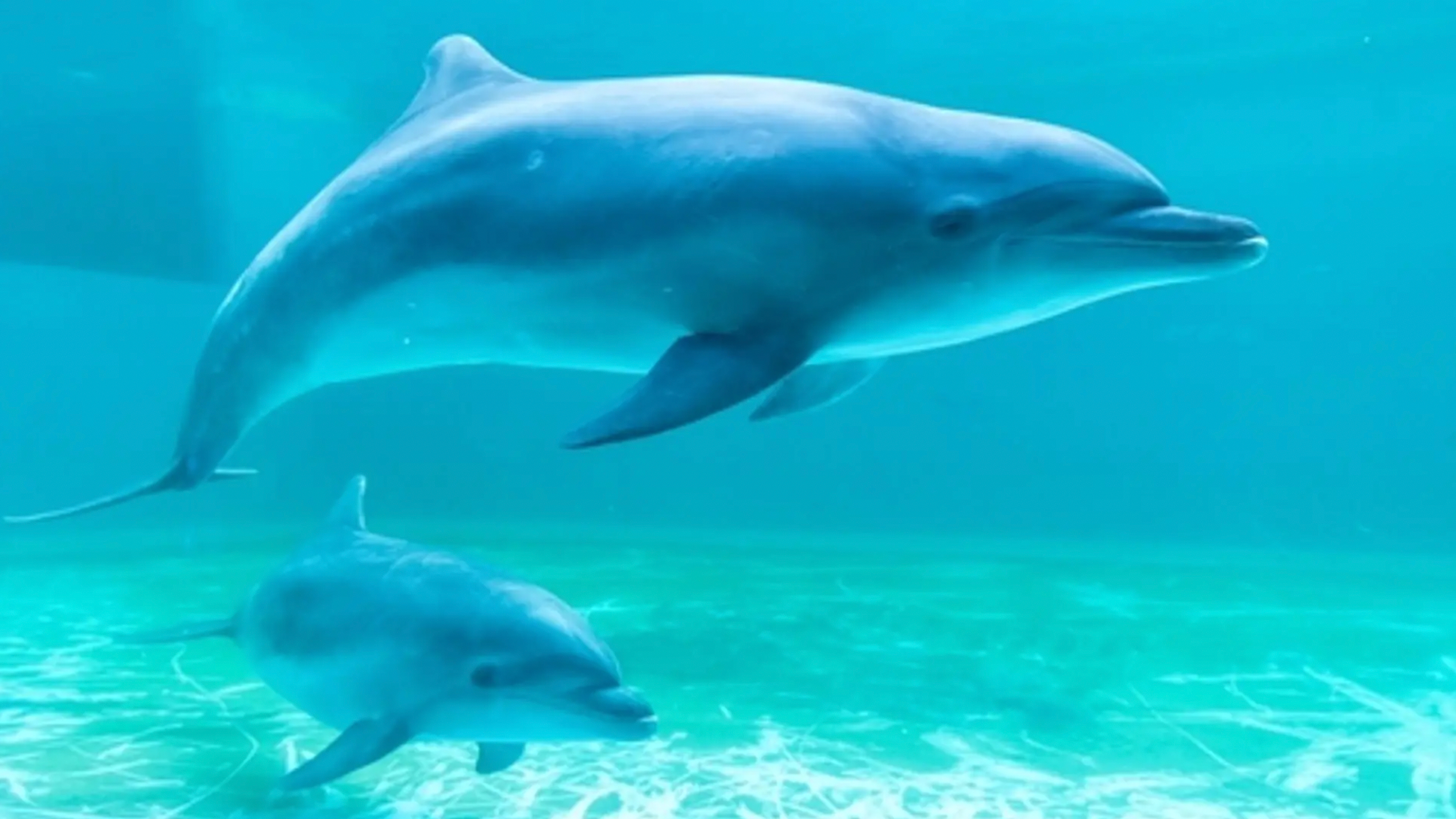 Crystal Cruises, Mexican Riviera Cruises