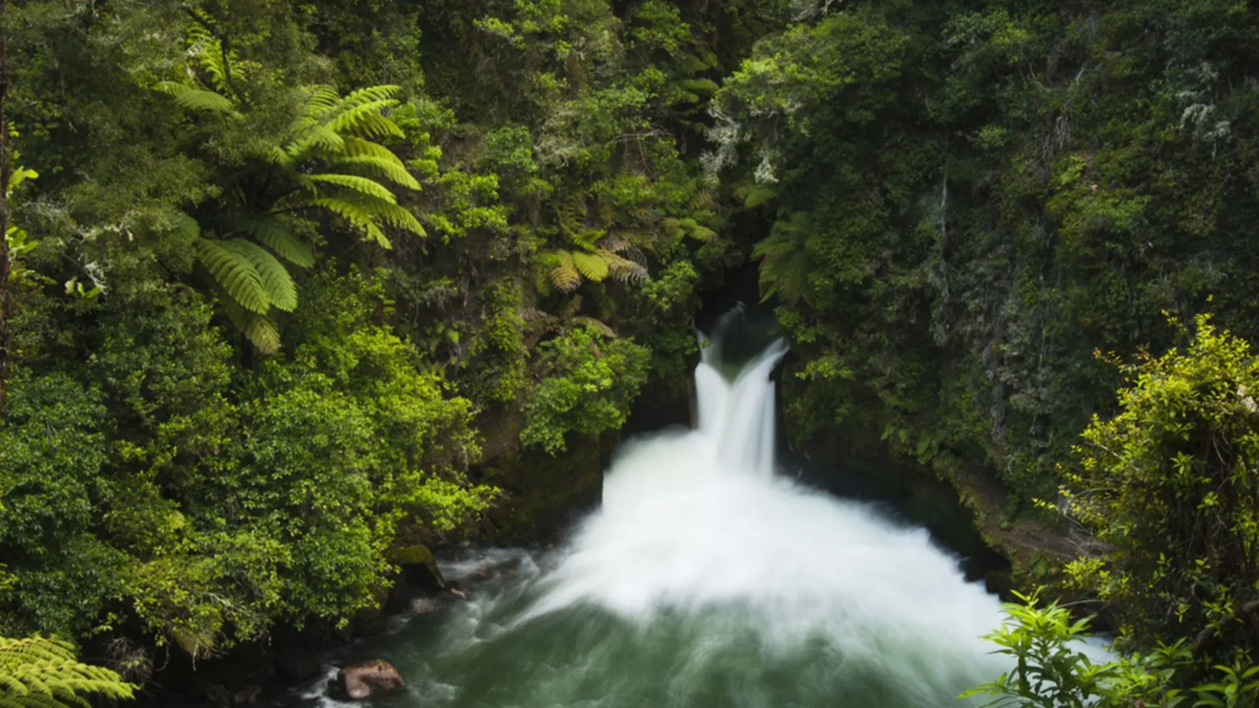 Crystal Cruises, New Zealand & Australia
