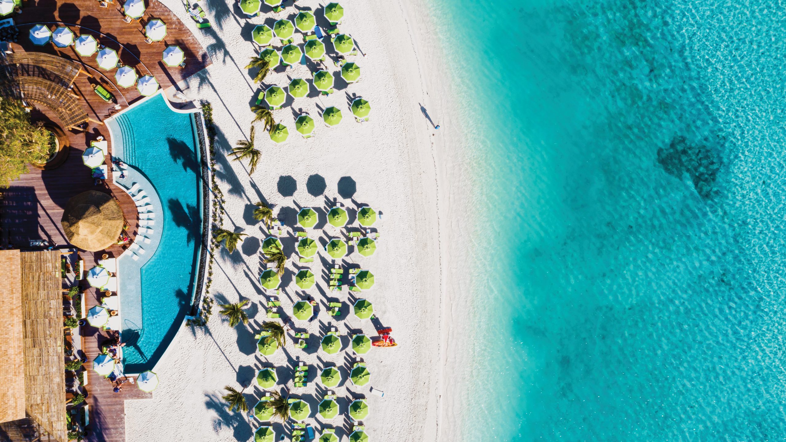 An In-Depth Look at Coco Beach Club on Perfect Day at CocoCay