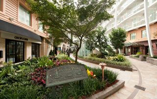 What is the Central Park Neighborhood on Royal Caribbean's Oasis and Icon Class Ships?