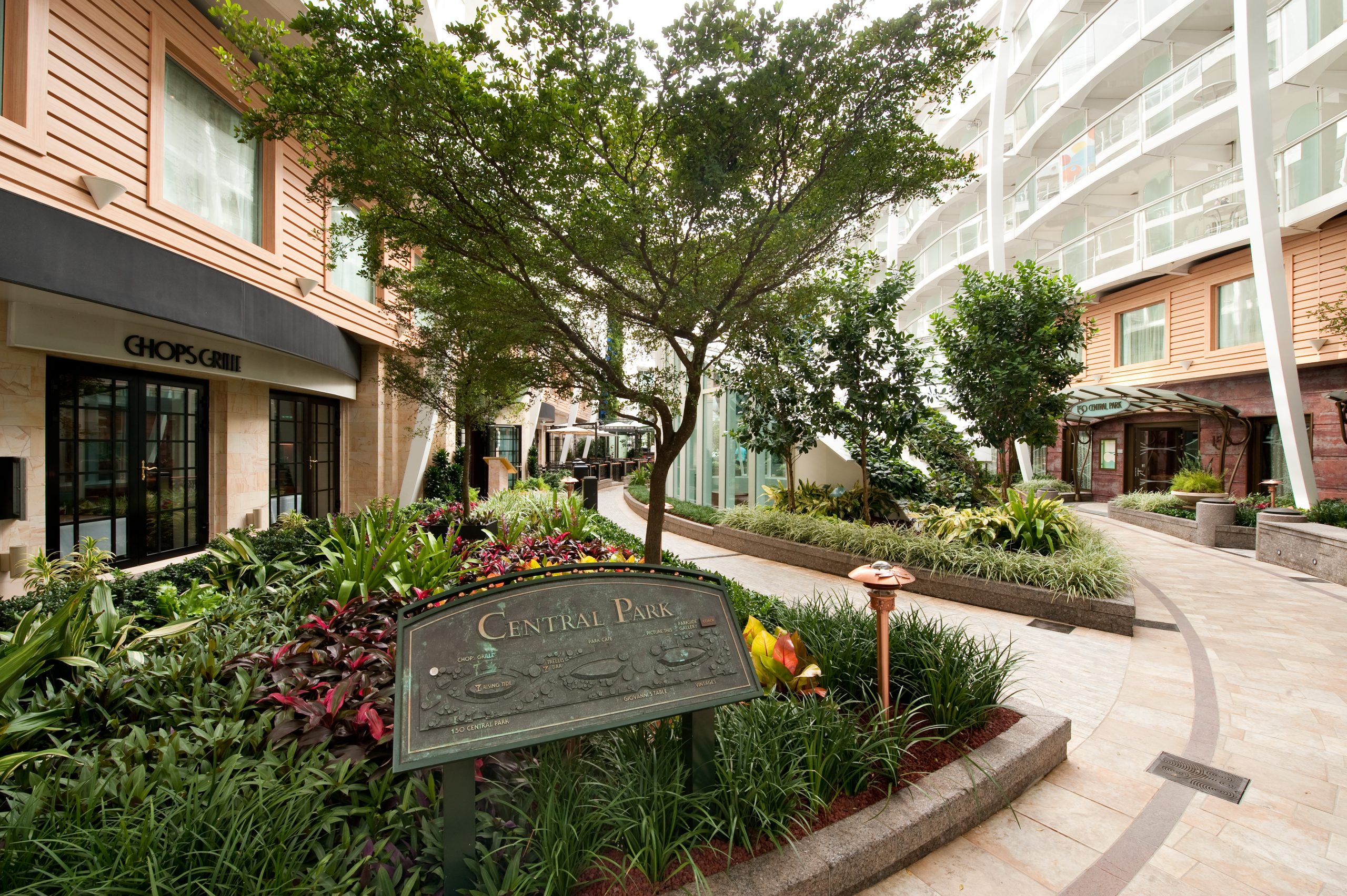 What is the Central Park Neighborhood on Royal Caribbean's Oasis and Icon Class Ships?
