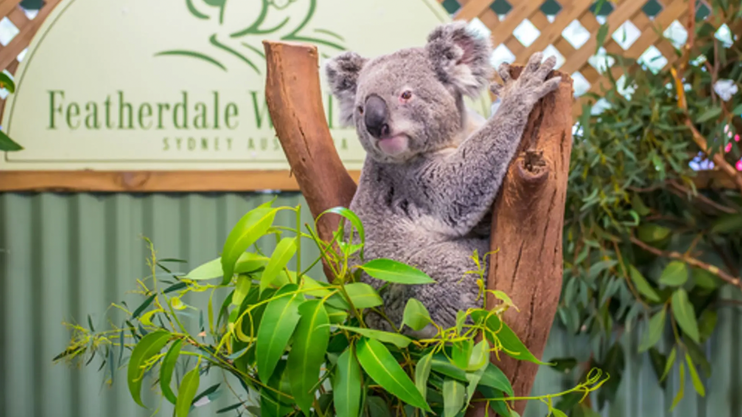 Crystal Cruises, New Zealand & Australia