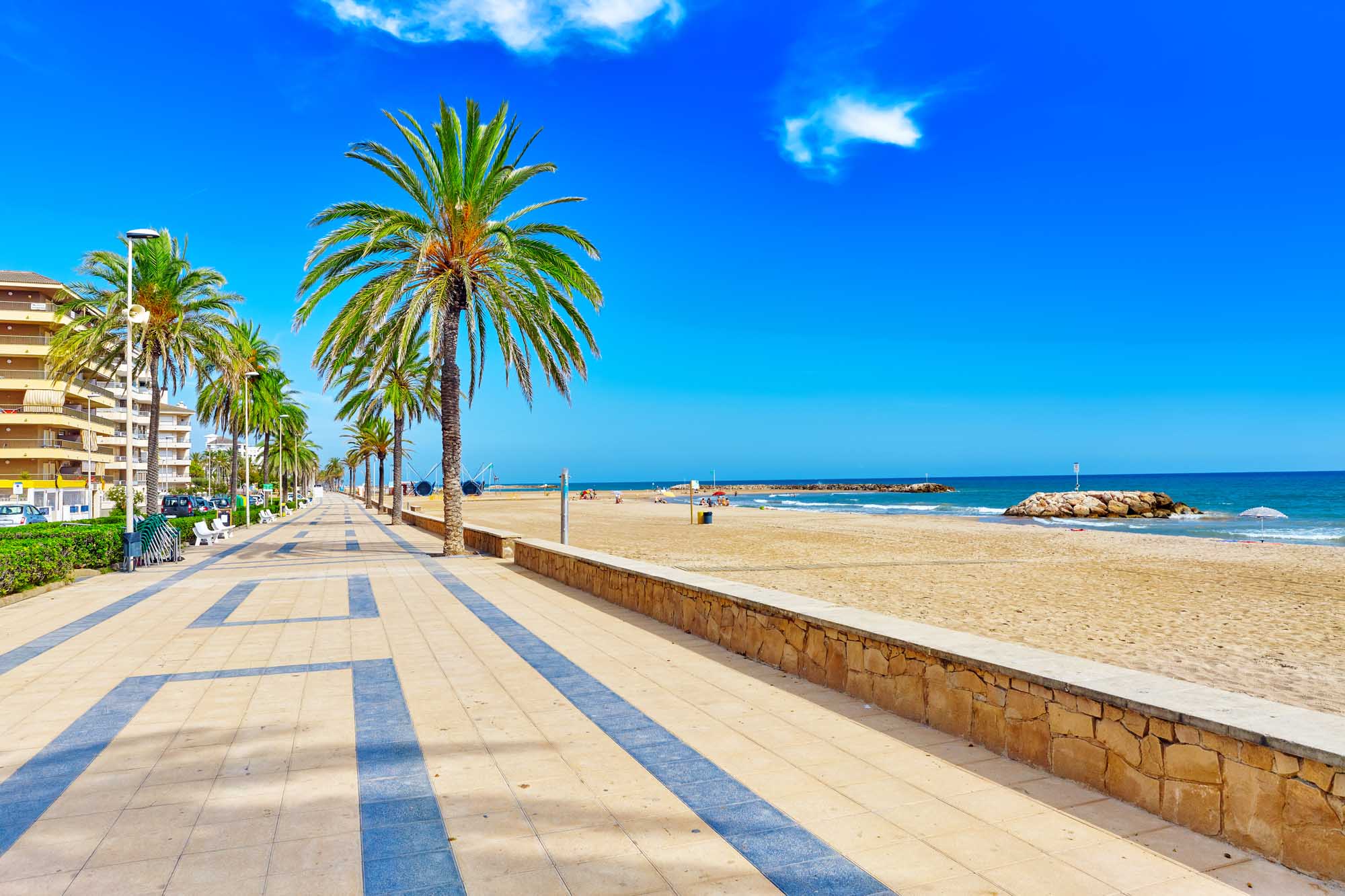 Barcelona Beach Promenade with Palm Trees A picturesque Mediterranean beachfront promenade lined with tall palm trees and modern apartment